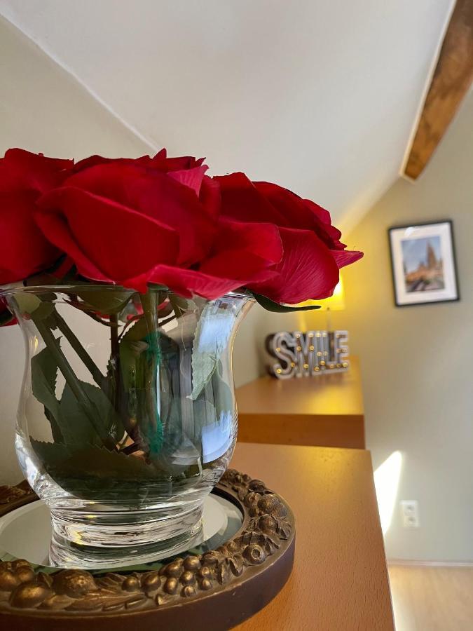 Cosy Penthouse In The Heart Of Bruges ברוז' מראה חיצוני תמונה