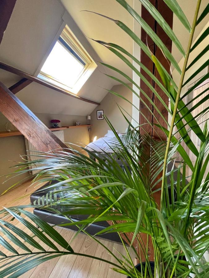 Cosy Penthouse In The Heart Of Bruges ברוז' מראה חיצוני תמונה